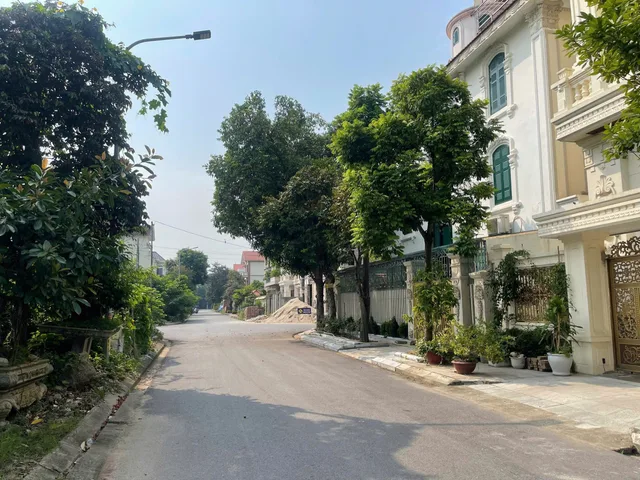 🌞🌞🌞 Bán nhanh lô góc biệt thự đại hoàng long. Đẹp long lanh. Hàng hiếm it khi ai bán. 
❤️ Diện tích 256.5m mặt tiền 15m
😎 Hướng đông nam & tây Nam