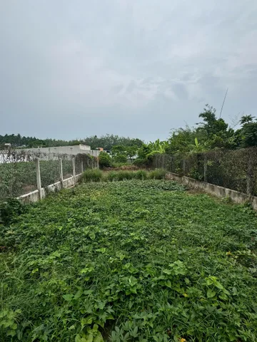 Bán Đất 434m2 có sẵn 100 m2 thổ cư giá 1.4 tỷ tại Xã Hiệp Thạnh Huyện Gò Dầu Tây Ninh