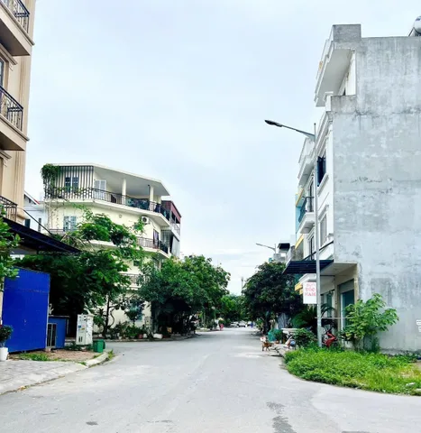 🔥🔥 BÁN 2 LÔ ĐẤT ĐẤU GIÁ KIẾN THIẾT – SỞ DẦU, HỒNG BÀNG 97m² 5,28 tỷ
LH 0979087664