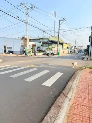 Bán Đất 120m2 có sẵn 50 m2 thổ cư giá 2 tỷ tại Phường Tân Hòa Thành phố Buôn Ma Thuột Đắk Lắk