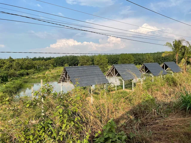 Bán Đất 14208m2 có sẵn 1414 m2 thổ cư giá 14 tỷ tại Xã Bàu Đồn Huyện Gò Dầu Tây Ninh