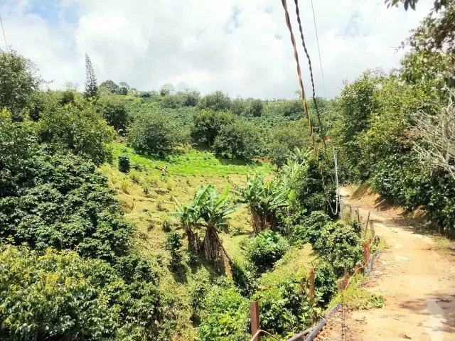 Bán đất view góc 2 mặt tiền Xuân Trường, cách KDL Đồi Chè Cầu Đất hơn 7p