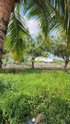Bán Đất 1000m2 giá 5 tỷ tại - Chọn - Xã Bình Lợi Huyện Bình Chánh TP. Hồ Chí Minh