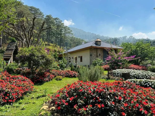 Bán biệt thự sân vườn Đà Lạt 25 tỷ, 2000m2 (sẵn 600m2 thổ cư) cách chợ Đêm Đà Lạt 10km