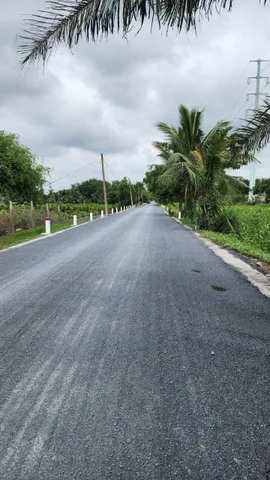 Bán Đất 1000m2 giá 5.2 tỷ tại kênh liên vùng Xã Bình Lợi Huyện Bình Chánh TP. Hồ Chí Minh