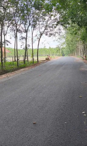 Bán Đất 1600m2 giá 1.36 tỷ tại - Chọn - Xã Long Nguyên Huyện Bàu Bàng Bình Dương