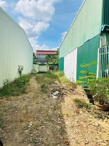 Bán Đất 100m2 có sẵn 100 m2 thổ cư giá 1.39 tỷ tại - Chọn - Phường Nghĩa Lộ Thành phố Quảng Ngãi Quảng Ngãi