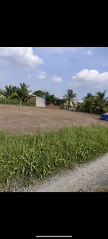 Bán Đất 150m2 có sẵn 150 m2 thổ cư giá 850 triệu tại Xã Mỹ Hạnh Bắc Huyện Đức Hòa Long An