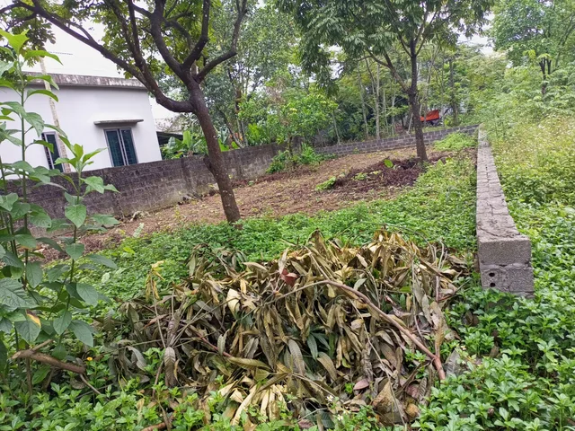 Bán giá 1.6 tỷ tại  Xã Cư Yên Huyện Lương Sơn Hòa Bình