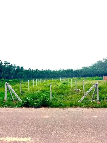 Bán Đất 500m2 có sẵn 200 m2 thổ cư giá 450 triệu tại Xã Trừ Văn Thố TP. Hồ Chí Minh