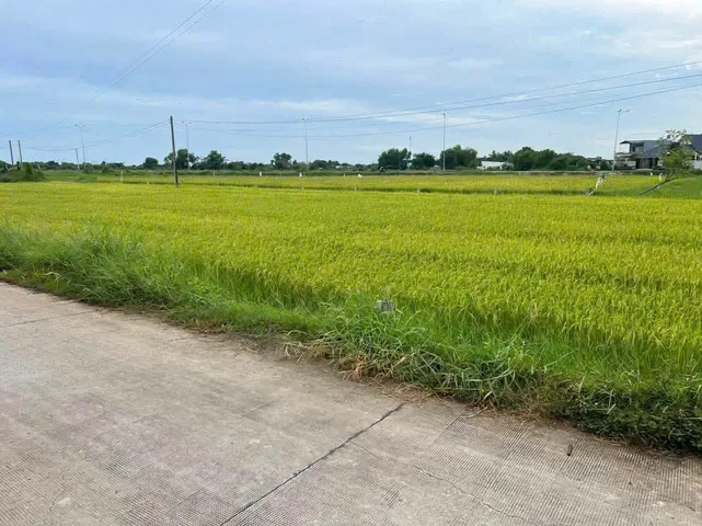 Bán Đất 270m2 có sẵn 270 m2 thổ cư giá 850 triệu tại Đường Tỉnh lộ 823 Xã Đức Hòa Thượng Huyện Đức Hòa Long An