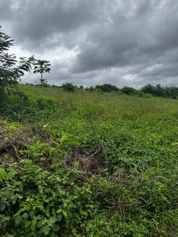 Bán Đất 5104.6m2 giá 2.55 tỷ tại Xã Quảng Tiến Huyện Cư M'gar Đắk Lắk