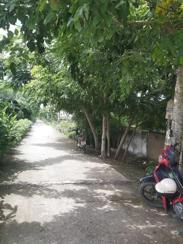 ĐẤT - GIÁ 3,68 TỶ - DIỆN TÍCH 500M2- THỔ CƯ DIỆN TÍCH 300M3, ĐẤT TRỒNG CÂY LÂU NĂM DIỆN TÍCH 200M2 - ĐƯỜNG THANH NIÊN XUNG PHONG - HIỆP PHƯỚC - NHÀ BÈ - TP.HCM - LIÊN HỆ
