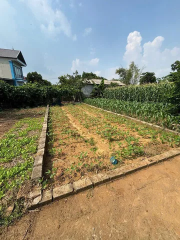 Bán Đất 63m2 có sẵn 63 m2 thổ cư giá 1.18 tỷ tại - Chọn - Xã Lại Thượng Huyện Thạch Thất Hà Nội