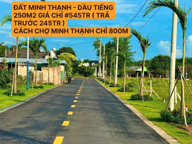 Bán Đất 250m2 có sẵn 100 m2 thổ cư giá 545 triệu tại - Chọn - Xã Minh Thạnh Huyện Dầu Tiếng Bình Dương