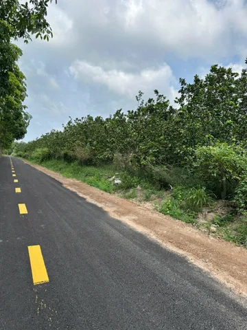 Bán Đất 2146m2 có sẵn 100 m2 thổ cư giá 1.9 tỷ tại - Chọn - Xã Trừ Văn Thố Huyện Bàu Bàng Bình Dương