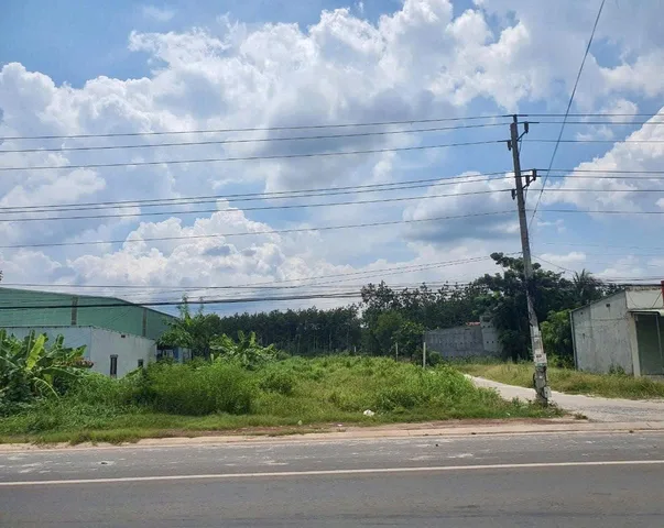 Bán Đất 500m2 có sẵn 300 m2 thổ cư Gía 560tr tại  - Huyện Dầu Tiếng Bình Dương