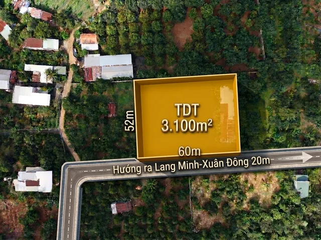 🔥 BÁN ĐẤT VƯỜN LANG MINH - 3.100M² FULL HỒNG - GIÁ 5 TỶ 🔥
