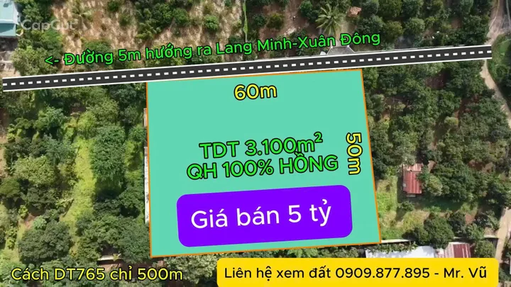 🔥 BÁN ĐẤT VƯỜN LANG MINH - 3.100M² FULL HỒNG - GIÁ 5 TỶ 🔥