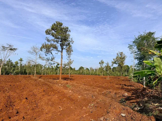 Bán Đất 8000m2 giá 4.25 tỷ tại Thị trấn Ea Pốk Huyện Cư M'gar Đắk Lắk