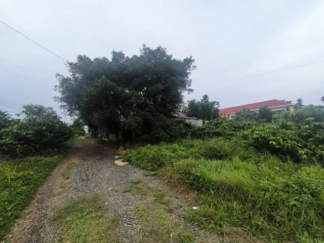 Bán Đất 1595m2 giá 2.39 tỷ tại Xã Lộc Thành Huyện Bảo Lâm Lâm Đồng