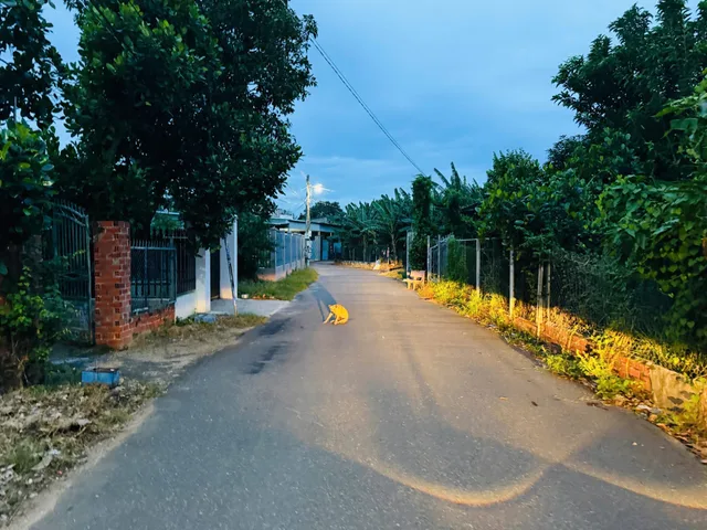 Bán Đất 569m2 có sẵn 100 m2 thổ cư giá 2.6 tỷ tại Đường Lê Trọng Tấn Xã Tân Hưng Thành phố Bà Rịa Bà Rịa - Vũng Tàu