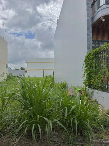 🌿 NỀN ĐẸP KHU LONG HÒA – ĐƯỜNG NHỰA, Ô TÔ 16 CHỖ TỚI ĐẤT