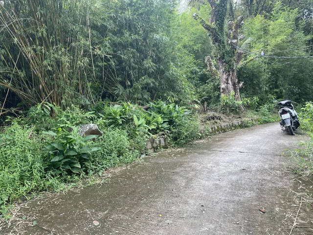 Bán Đất 9000m2 tại Hòn Tre, Đặt khu Kiên Hải, Tỉnh An Giang