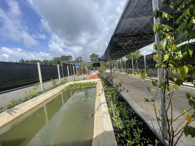 Khuôn viên nhà vườn 400m2 - Sát Vành Đai 3