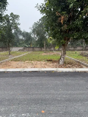 206m có 50m thổ cư - mặt tiền rộng 8m - Xã Nhuận Trạch Huyện Lương Sơn