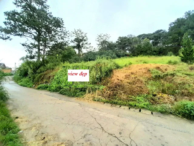 Đất sổ riêng view cao đẹp sát đồi thông gần khu dân cư trung tâm Đà Lạt