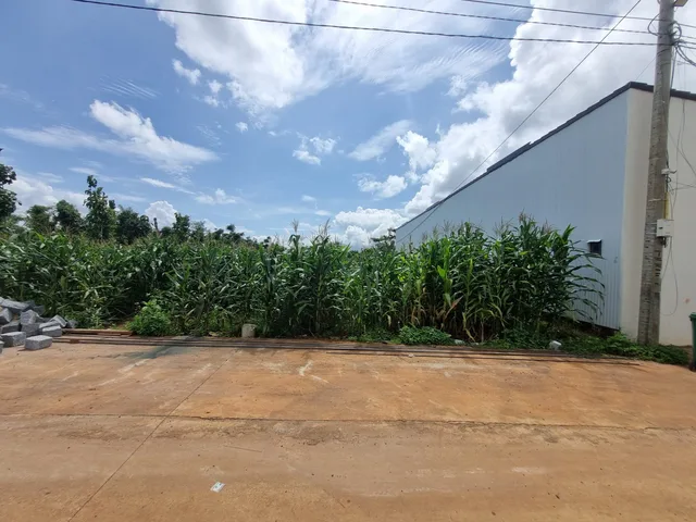 Bán Đất 300m2 có sẵn 300 m2 thổ cư giá 4 tỷ tại Xã Cư Suê Huyện Cư M'gar Đắk Lắk