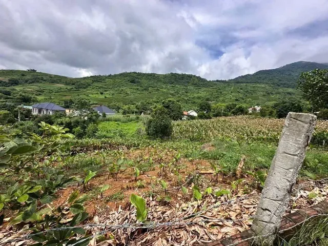 CHÍNH CHỦ CẦN BÁN LÔ ĐẤT VIEW SÔNG TỰA NÚI TẠI MINH HỒNG - BA VÌ - DIỆN TÍCH KHỦNG 1570M²