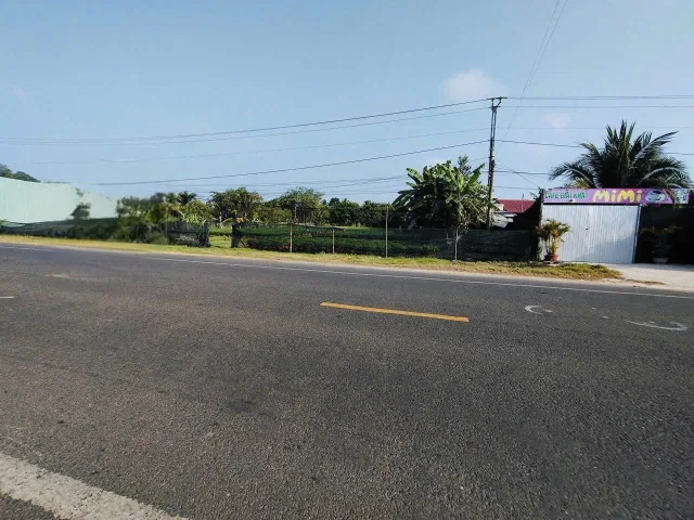 Bán Đất nền - đất làm kho xưởng - vựa cây giống - kho bãi,... diện tích 1839.9m2 CLN giá 10 tỷ tại Đường Quốc Lộ 57 Xã Sơn Định Huyện Chợ Lách Bến Tre. Cách chợ Vĩnh Bình  và UBND Phú Phụng mới khoảng 1,2km về hướng Sơn Định. 
Liên hệ Ngọc Bích 090763691