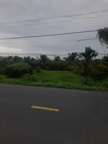 Bán Đất 4841.7m2 giá 3.8 tỷ tại Đường kinh 15 (liên xã Tân An), Ấp Thông Thảo, Xã Hòa Ân Huyện Cầu Kè Trà Vinh