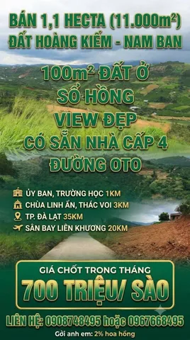 BÁN 11.000M2 ( 1,1 HECTA) ĐƯỜNG OTO , XÃ NAM HÀ - NAM BAN. GIÁ : 700 TRIỆU/ SÀO. ☎️☎️ 0908748495 OR 0967668495