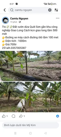 Đất vườn dừa Quới sơn châu thành bến tre