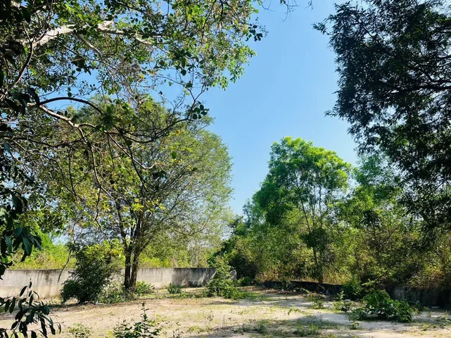 Bán Đất 1400m2 có sẵn 50 m2 thổ cư giá 4.5 tỷ tại - Chọn - Xã Phước Thuận Huyện Xuyên Mộc Bà Rịa - Vũng Tàu