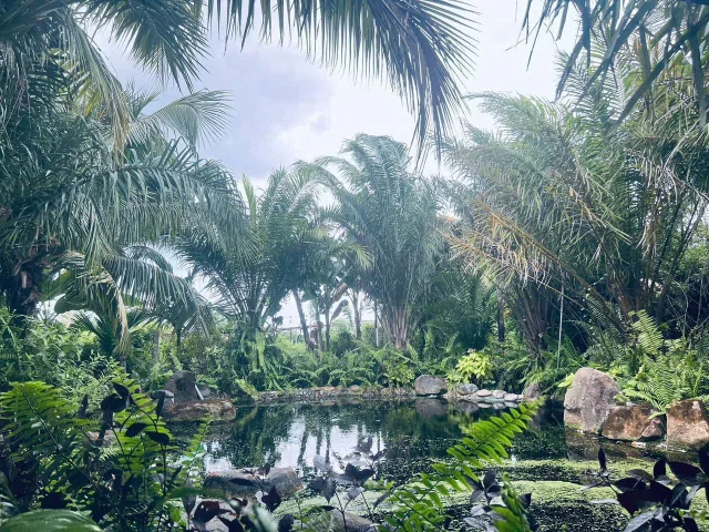 Bán Nhà riêng 1400m2 giá 7 tỷ tại - Chọn - Xã Bình Châu Huyện Xuyên Mộc Bà Rịa - Vũng Tàu