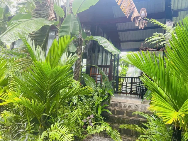 Bán Nhà riêng 1400m2 giá 7 tỷ tại - Chọn - Xã Bình Châu Huyện Xuyên Mộc Bà Rịa - Vũng Tàu