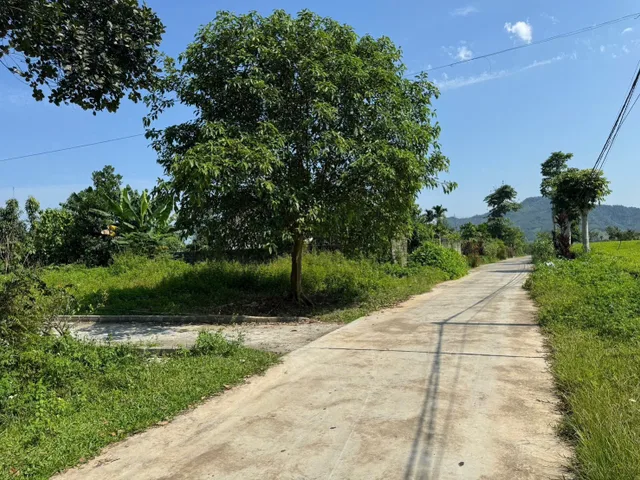 Bán Đất 80m2 có sẵn 80 m2 thổ cư giá 880 triệu tại - Chọn - Xã Phú Thành Huyện Lạc Thủy Hòa Bình