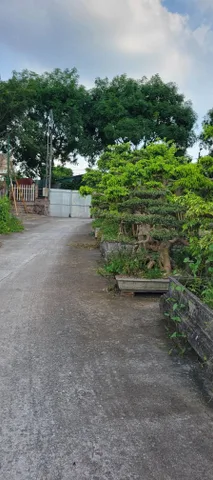 ĐẤT BÁT KHỐI – DT 200M² – MT 7M – CHỈ 48 TỶ LÔ ĐẤT HIẾM – 3 MẶT THOÁNG VĨNH VIỄN – SAU NHÀ LÀ HỒ ĐIỀU HÒA – CONTAINER TRÁNH NHAU – QUỸ ĐẤT ĐẸP, KHAI THÁC ĐA DẠNG.