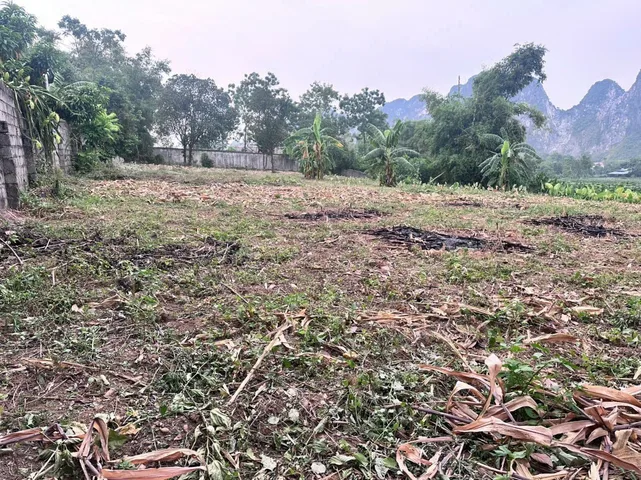 2142m có sẵn 200m thổ cư - View núi đá - Xã Liên Sơn Huyện Lương Sơn