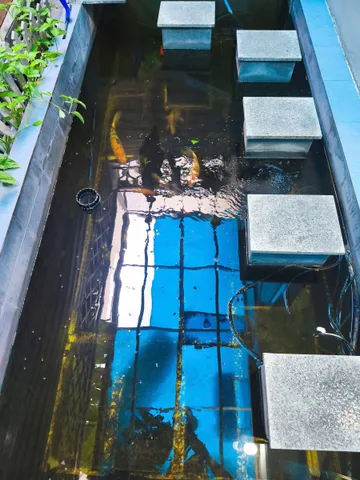 BDS HVL [NC] CHO THUÊ RIOVISTA Q9 ĐẸP NHƯ HÌNH