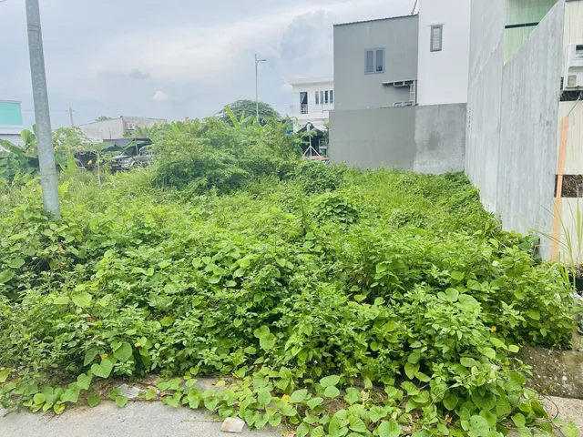 Bán Đất 17000m2 có sẵn 15000 m2 thổ cư giá 28.9 tỷ tại Đường Bình Mỹ Xã Bình Mỹ Huyện Củ Chi TP. Hồ Chí Minh