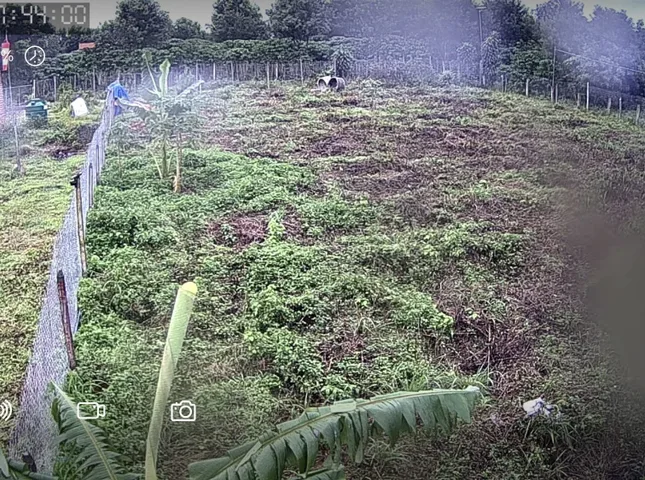 Bán Đất 1026m2 có sẵn 100 m2 thổ cư giá 1.02 tỷ - Xã Tân Hà Lâm Hà Lâm Đồng