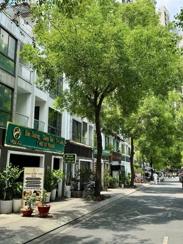 BÁN NHÀ COMPOUND HÀ ĐÔ CENTROSA – QUẬN 10 | 88M² | GIÁ 55 TỶ