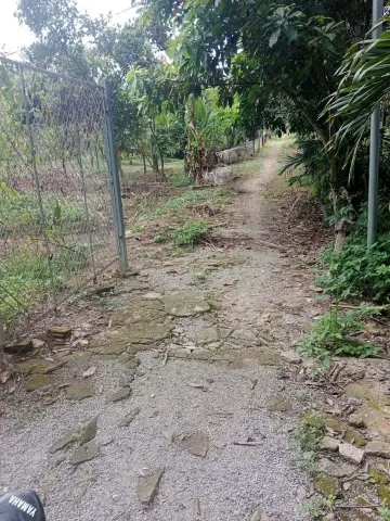 Bán Đất 1217m2 giá 770 triệu tại Đường Tỉnh lộ 741 Xã An Bình Huyện Phú Giáo Bình Dương