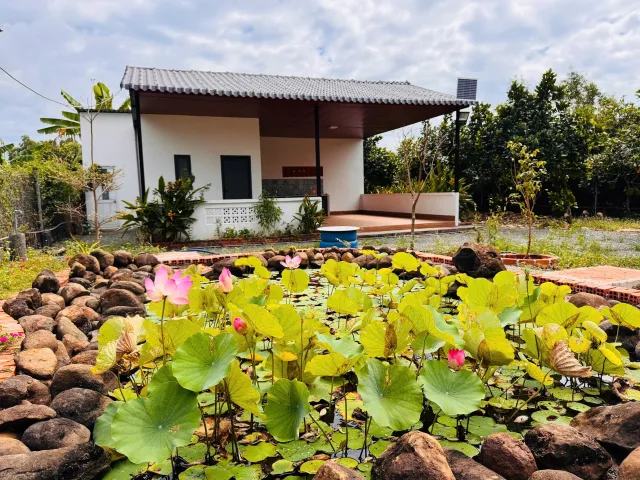 Bán Nhà riêng 1077m2 có sẵn 300 m2 thổ cư giá 2.79 tỷ tại - Chọn - Xã Long Tân Huyện Đất Đỏ Bà Rịa - Vũng Tàu