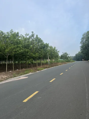 Bán Đất 22864.2m2 giá 18.5 tỷ tại - Chọn - Xã Lộc Thành Huyện Lộc Ninh Bình Phước